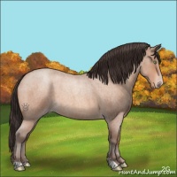 Horse Color:Amber Champagne Roan Sabino 
