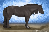 Horse Color:Smoky Black  and Smoky Black 