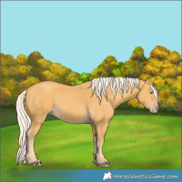 Horse Color:Silver Amber Cream Champagne 