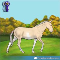 Horse Color:White Spotted Gold Cream Champagne 