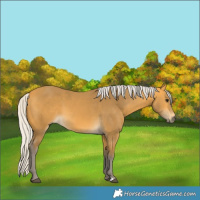 Horse Color:Silver Buckskin 