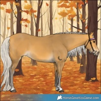 Horse Color:Silver Buckskin 