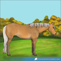 Horse Color:Silver Buckskin 