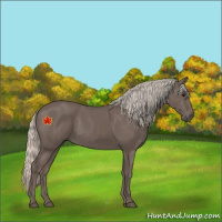 Horse Color:Silver Black 