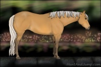 Horse Color:Silver Buckskin 