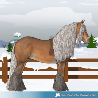 Horse Color:Silver Buckskin 