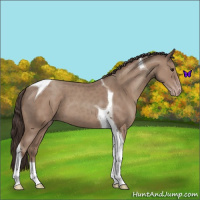 Horse Color:Classic Champagne Tobiano 