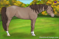 Horse Color:Classic Champagne 