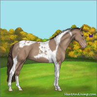 Horse Color:Classic Champagne Tobiano 