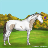 Horse Color:Classic Champagne Dun Splash Tobiano 
