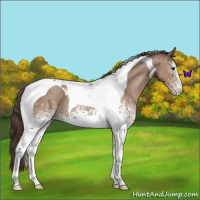 Horse Color:White Spotted Classic Champagne Tobiano Varnish 
