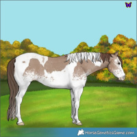 Horse Color:White Spotted Classic Champagne Tobiano Varnish 