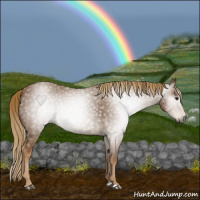 Horse Color:Gray Chestnut 