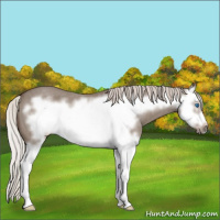 Horse Color:Silver Grullo Roan Sabino Splash Frame 