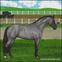 Horse Color:Smoky Blue Roan 