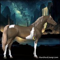 Horse Color:Chocolate Palomino Tobiano 