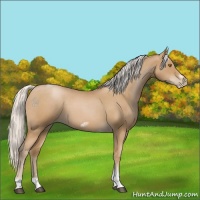 Horse Color:Silver Blue Roan Pearl Tobiano Frame 