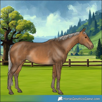 Horse Color:Silver Buckskin 