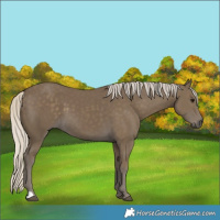 Horse Color:Silver Smoky Black 