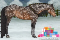 Horse Color:Buckskin Tobiano Rabicano 