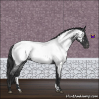 Horse Color:Blue Roan Near Fewspot 