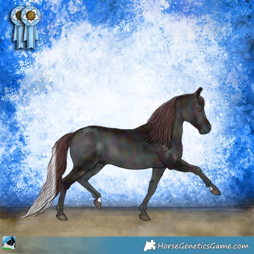 Horse Color:Midnight Chocolate Brown Chinchilla Onyx 