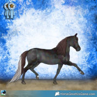 Horse Color:Midnight Chocolate Brown Chinchilla Onyx