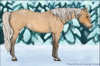 Horse Color:Silver Buckskin Roan 