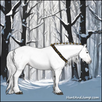 Horse Color:Gray Bay 