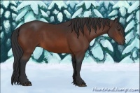 Horse Color:Brown 