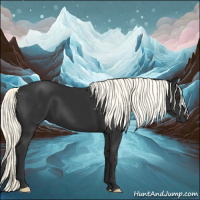 Horse Color:Liver Chestnut Mushroom 