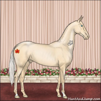 Horse Color:Silver Buckskin Pearl 