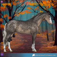 Horse Color:Silver Smoky Black 