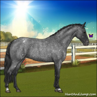 Horse Color:Blue Roan Snowflake Varnish