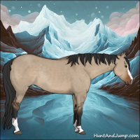 Horse Color:Liver Red Dun Sabino Rabicano 