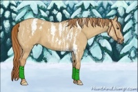 Horse Color:Red Dun Splash Tobiano  Brindle