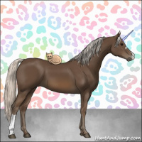 Horse Color:Silver Smoky Black 