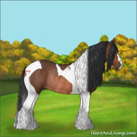 Horse Color:Bay Tobiano Rabicano 