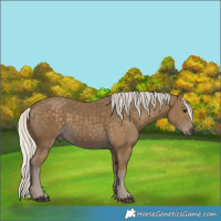 Horse Color:Silver Smoky Black 