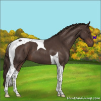 Horse Color:Liver Red Roan Tobiano 