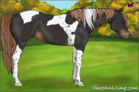 Horse Color:Liver Chestnut Tobiano 