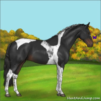 Horse Color:Liver Chestnut Tobiano 