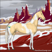 Horse Color:Palomino Tobiano 