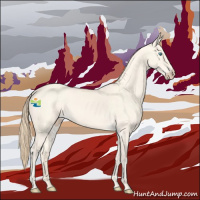 Horse Color:Perlino Dun 
