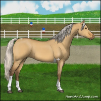 Horse Color:Silver Buckskin Dun Tobiano 