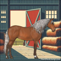 Horse Color:Silver Bay 