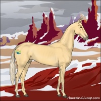 Horse Color:Palomino 