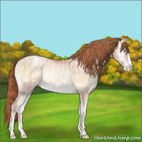 Horse Color:Sable Cream Champagne Ice Roan Pearl Onyx Sabino Blanket  and Sable Champagne Pearl Onyx Sabino Varnish 