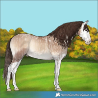 Horse Color:Classic Champagne Ice Roan Onyx  and Classic Champagne Onyx Splash 