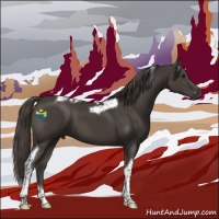 Horse Color:Smoky Black Tobiano 